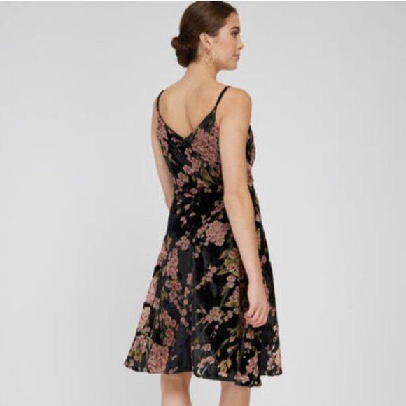 Dex Burnout Velvet Dress - Picture 2 of 14